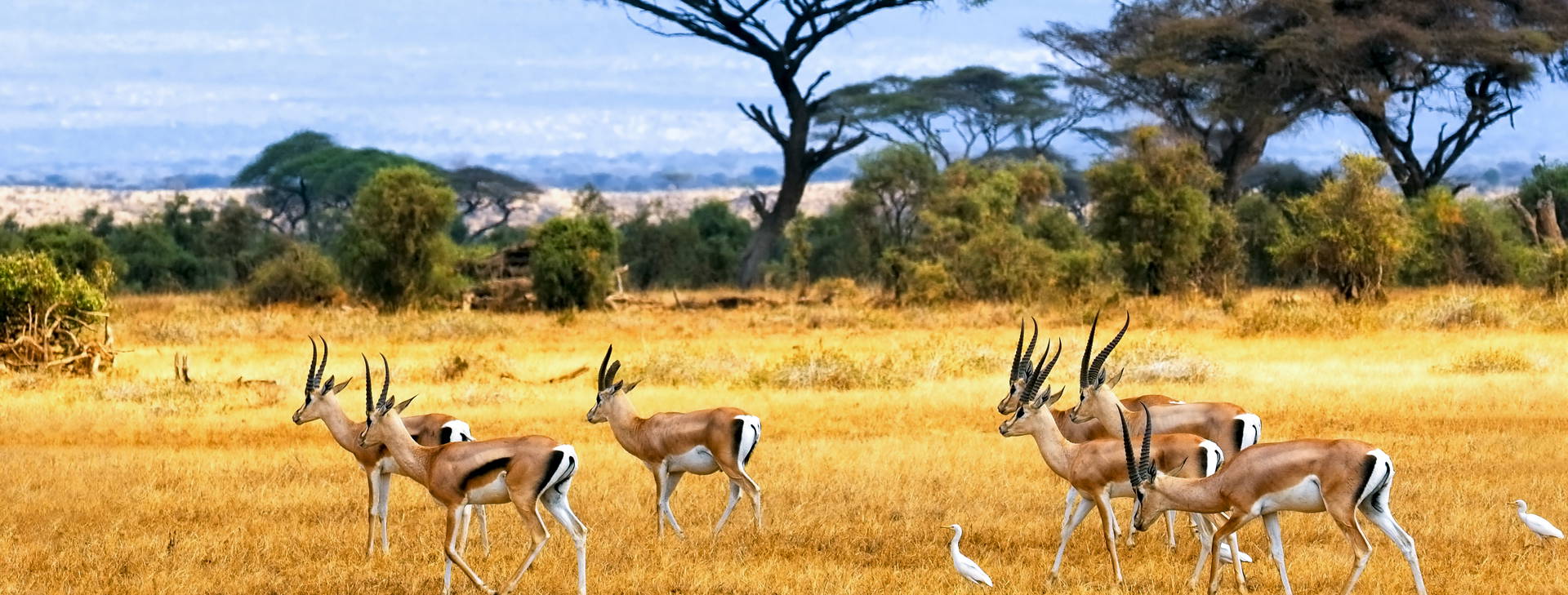 Leopard Beach Resort & SPA KST Obrázek13