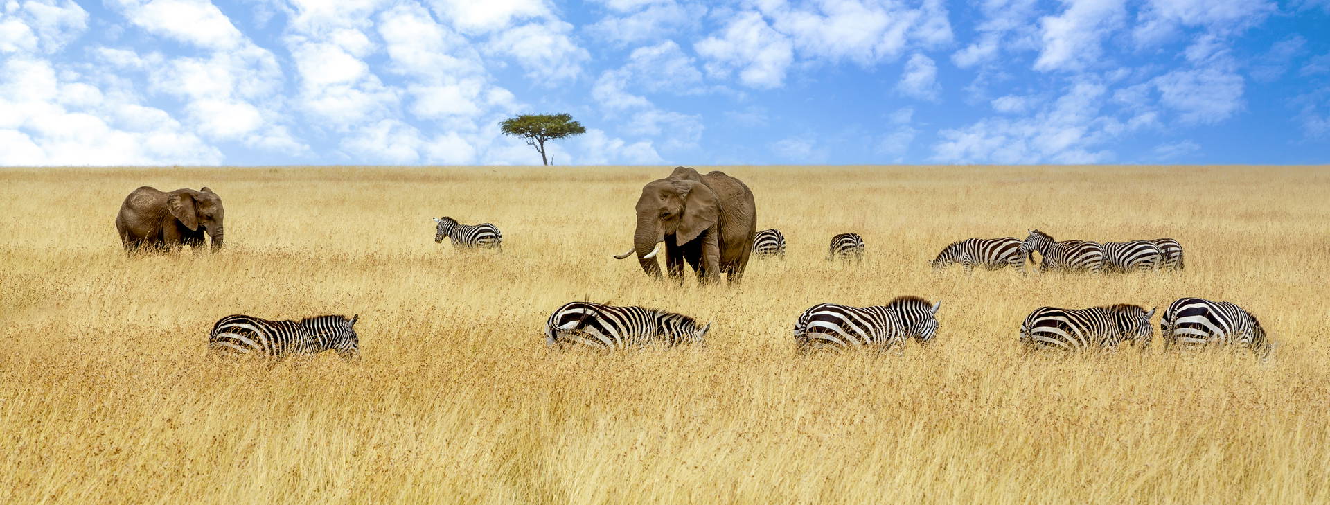 Leopard Beach Resort & SPA KSS Obrázek5