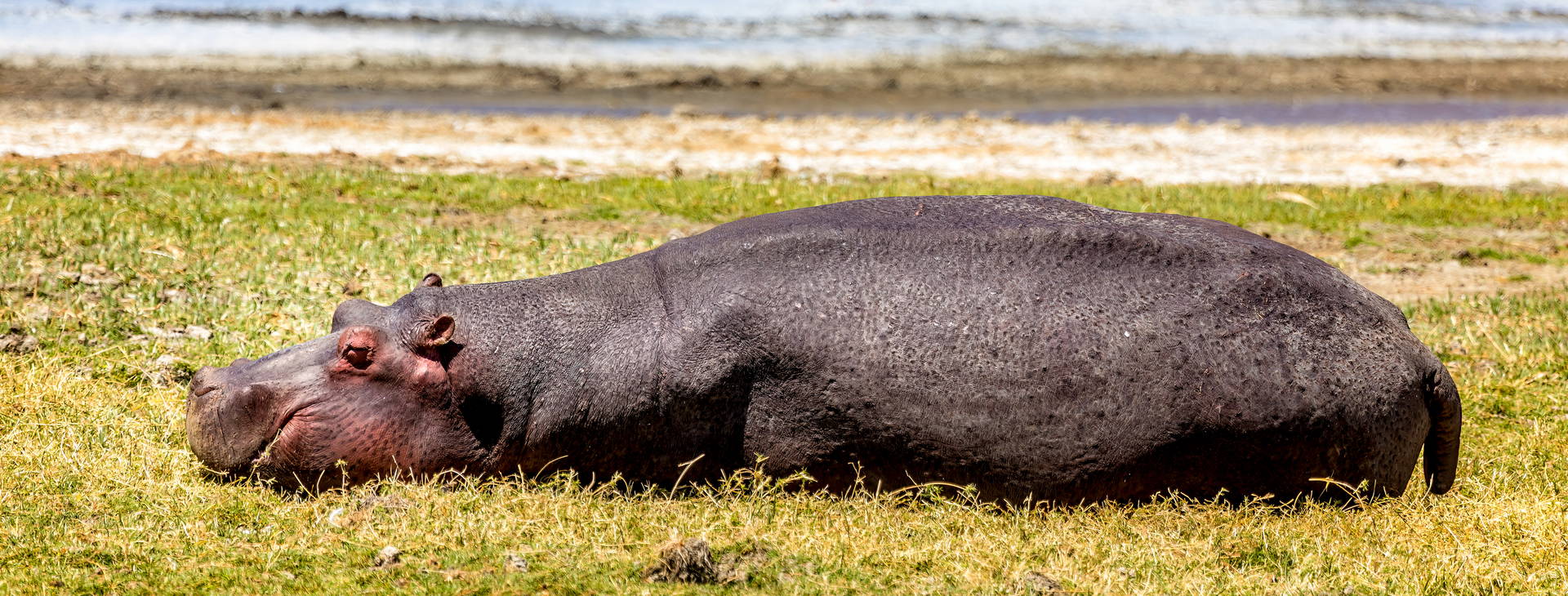 Neptune Beach Resort (3 noci + poznávací část 4 noci) Obrázek6