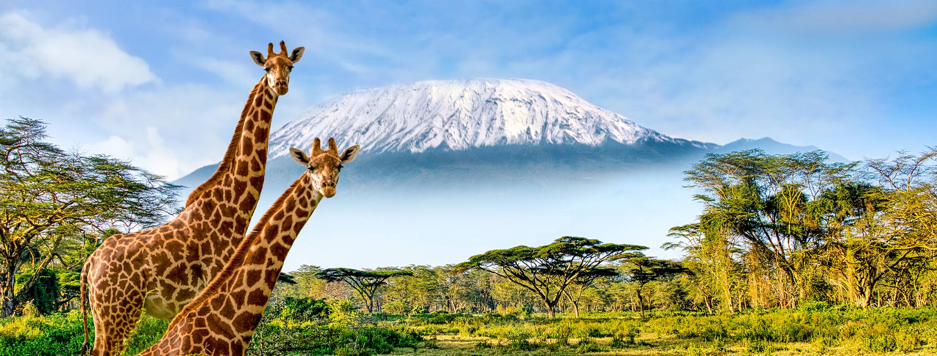 Neptune Beach Resort (3 noci + poznávací část 4 noci) Obrázek10