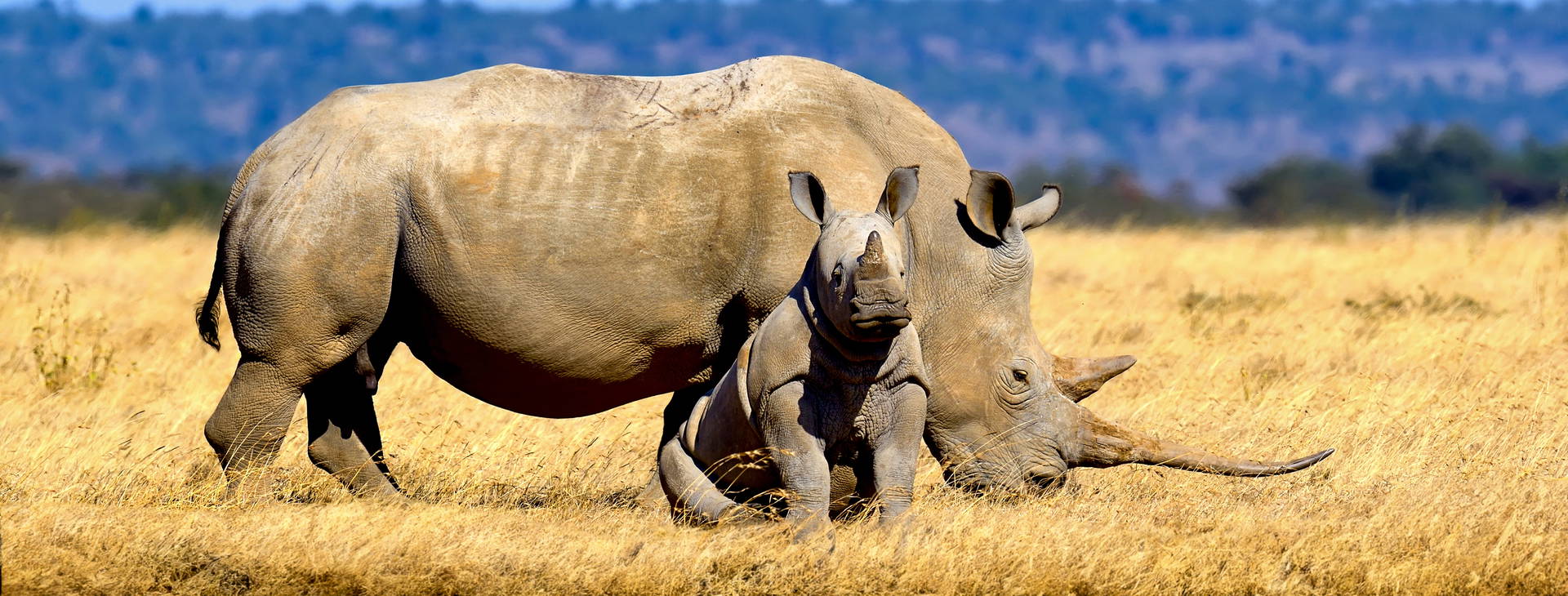 Neptune Beach Resort (4 noci + poznávací část 3 noci) Obrázek12
