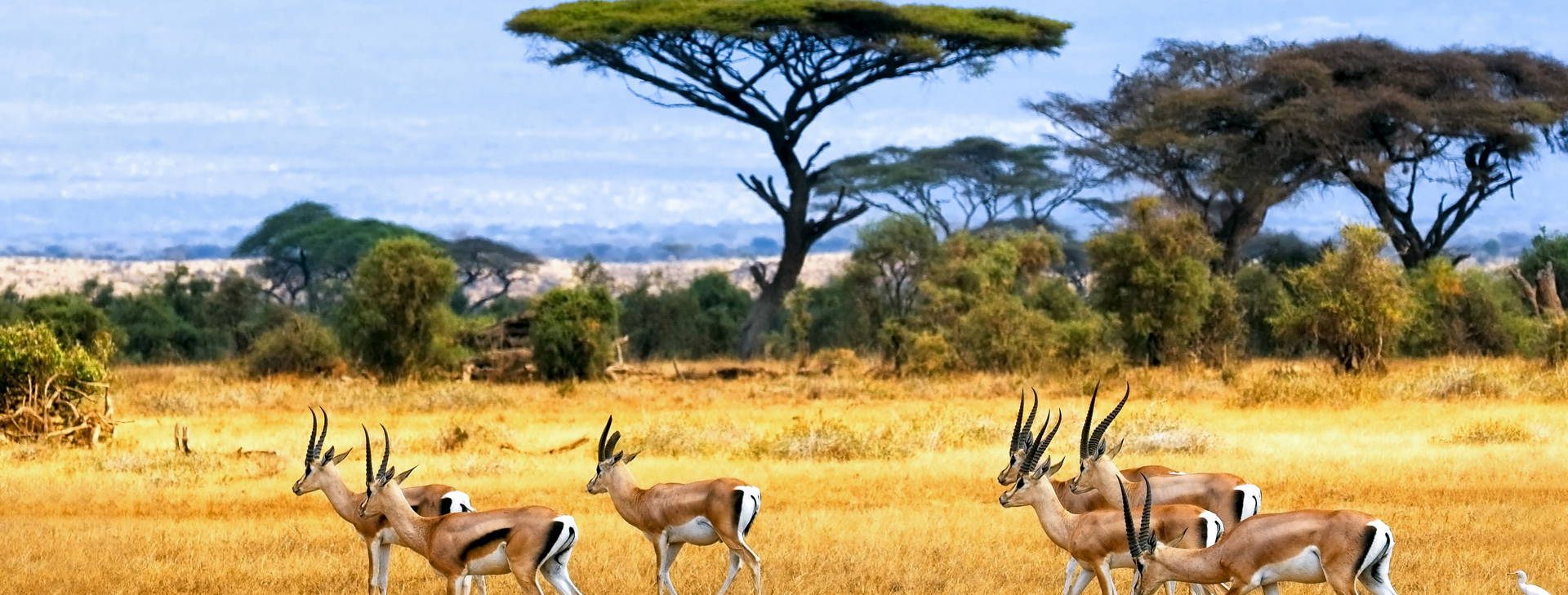 Neptune Palm Beach Boutique Resort & SPA (3 noci + poznávací část 4 noci) Obrázek5