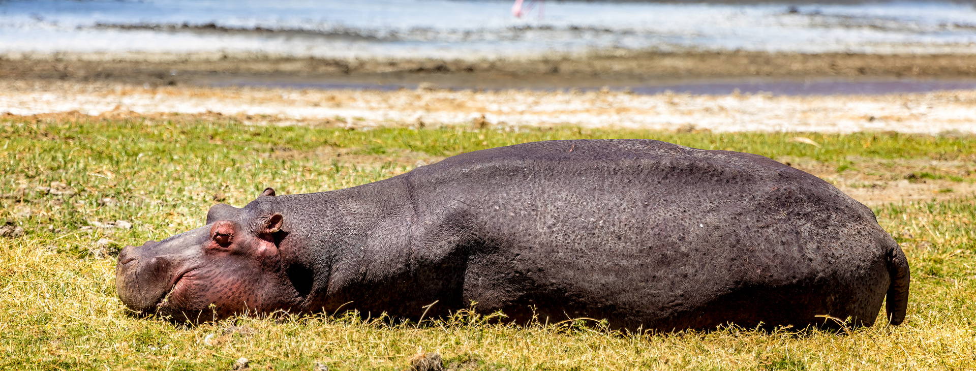Neptune Palm Beach Boutique Resort & SPA (3 noci + poznávací část 4 noci) Obrázek13