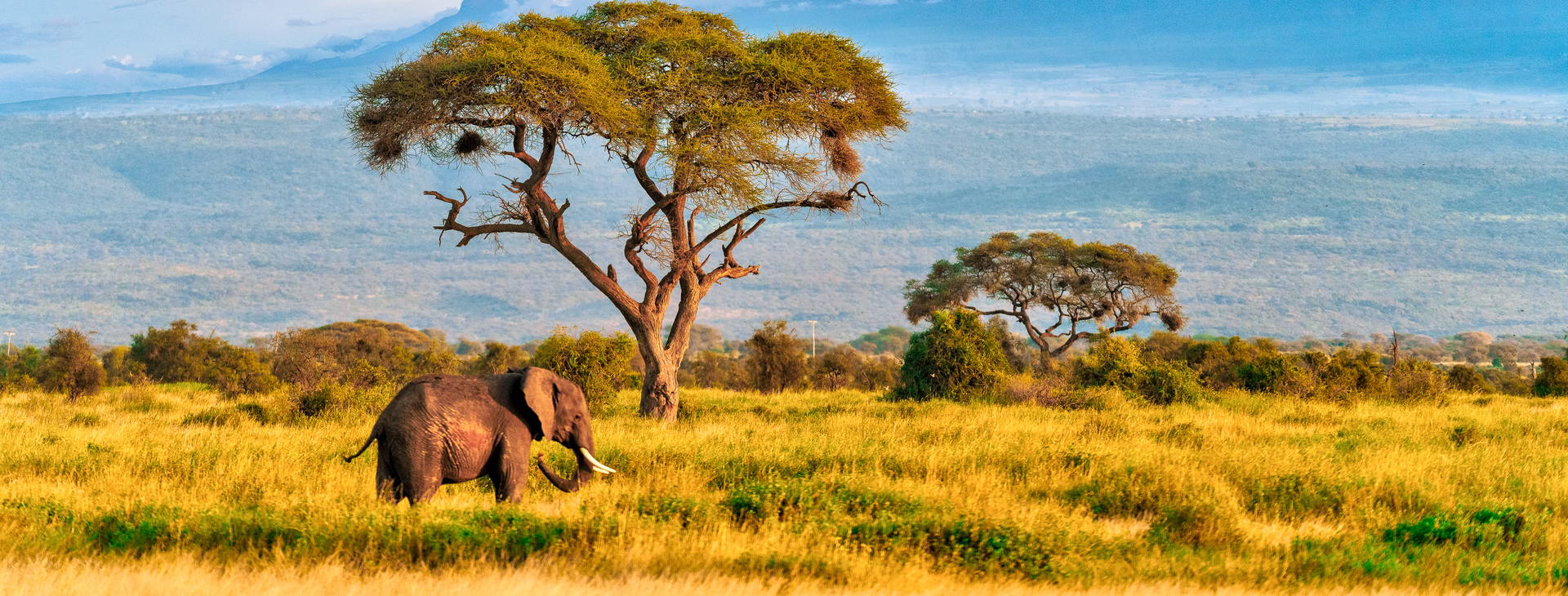 Neptune Palm Beach Boutique Resort & SPA (3 noci + poznávací část 4 noci) Obrázek12