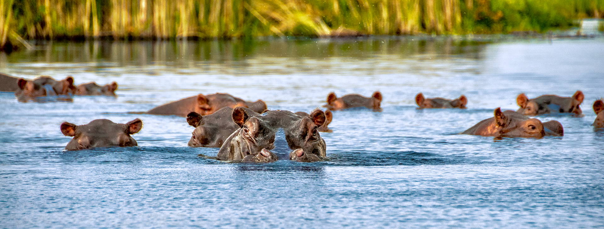 Neptune Palm Beach Boutique Resort & SPA (3 noci + poznávací část 4 noci) Obrázek11