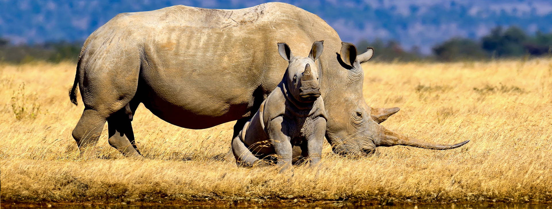 Hotel Reef (4 noci + poznávací část 3 noci) Obrázek0