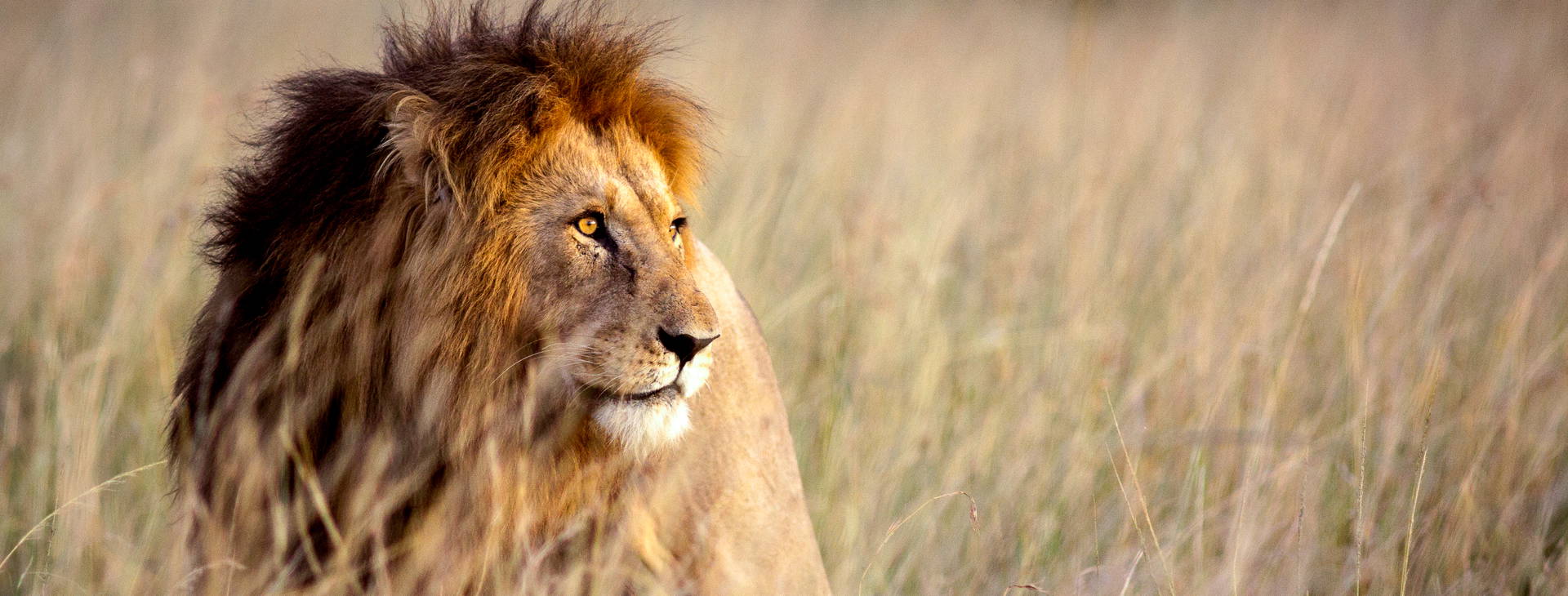 Hotel Reef (4 noci + poznávací část 3 noci) Obrázek9