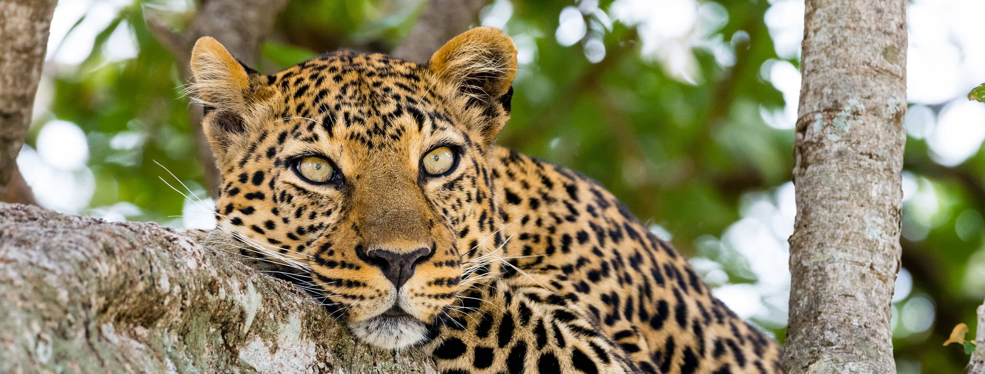 Hotel Reef (3 noci + poznávací část 4 noci) Obrázek6