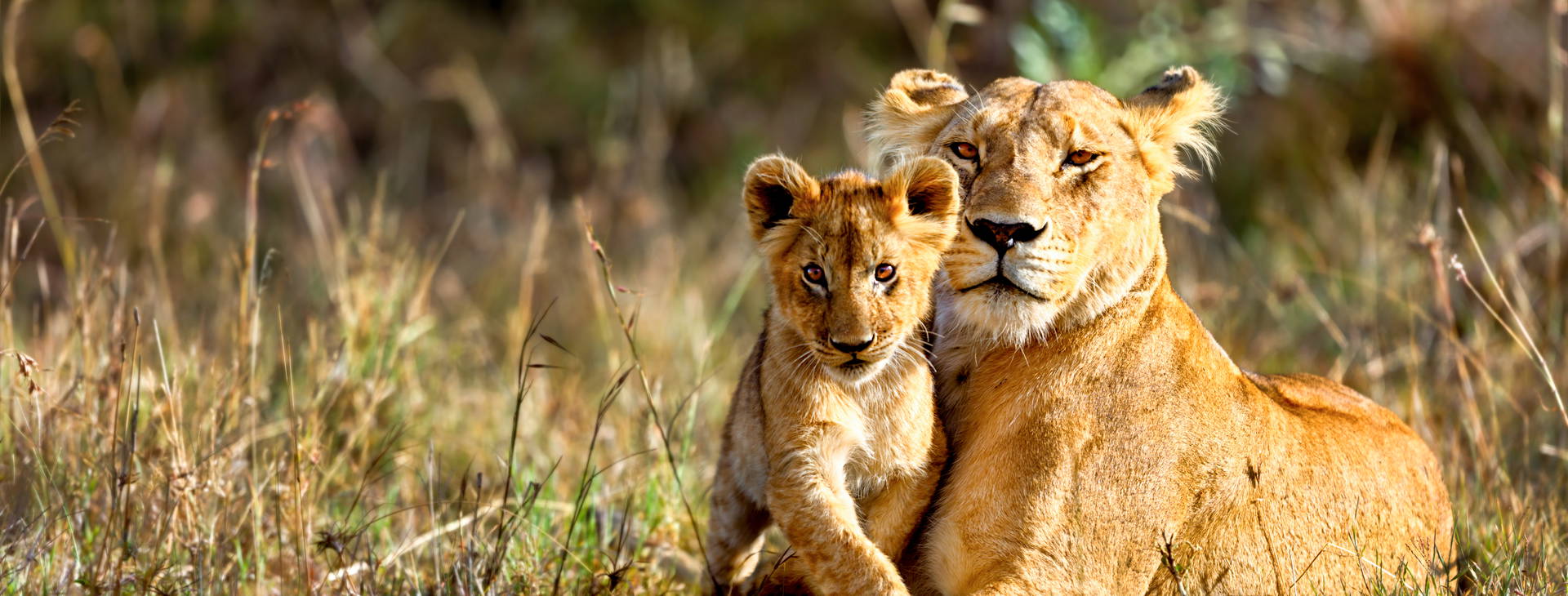 Hotel Reef (3 noci + poznávací část 4 noci) Obrázek7