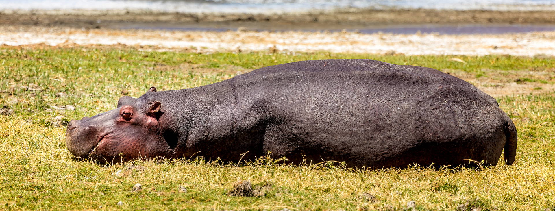 Hotel Reef (3 noci + poznávací část 4 noci) Obrázek13