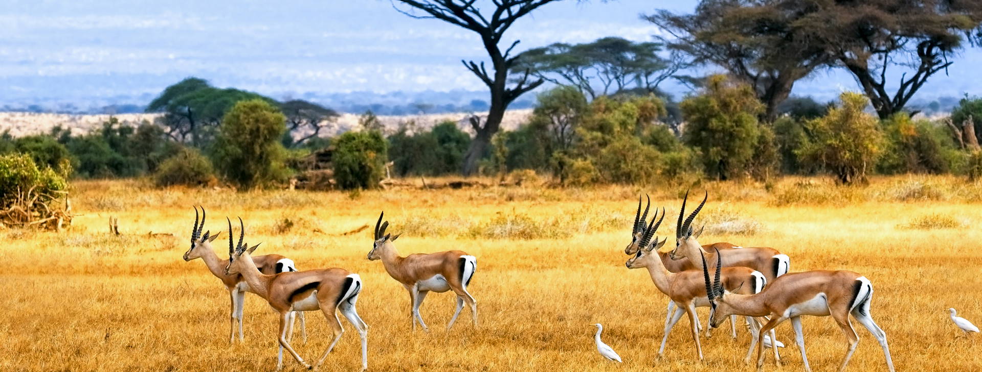 Hotel Reef (3 noci + poznávací část 4 noci) Obrázek15