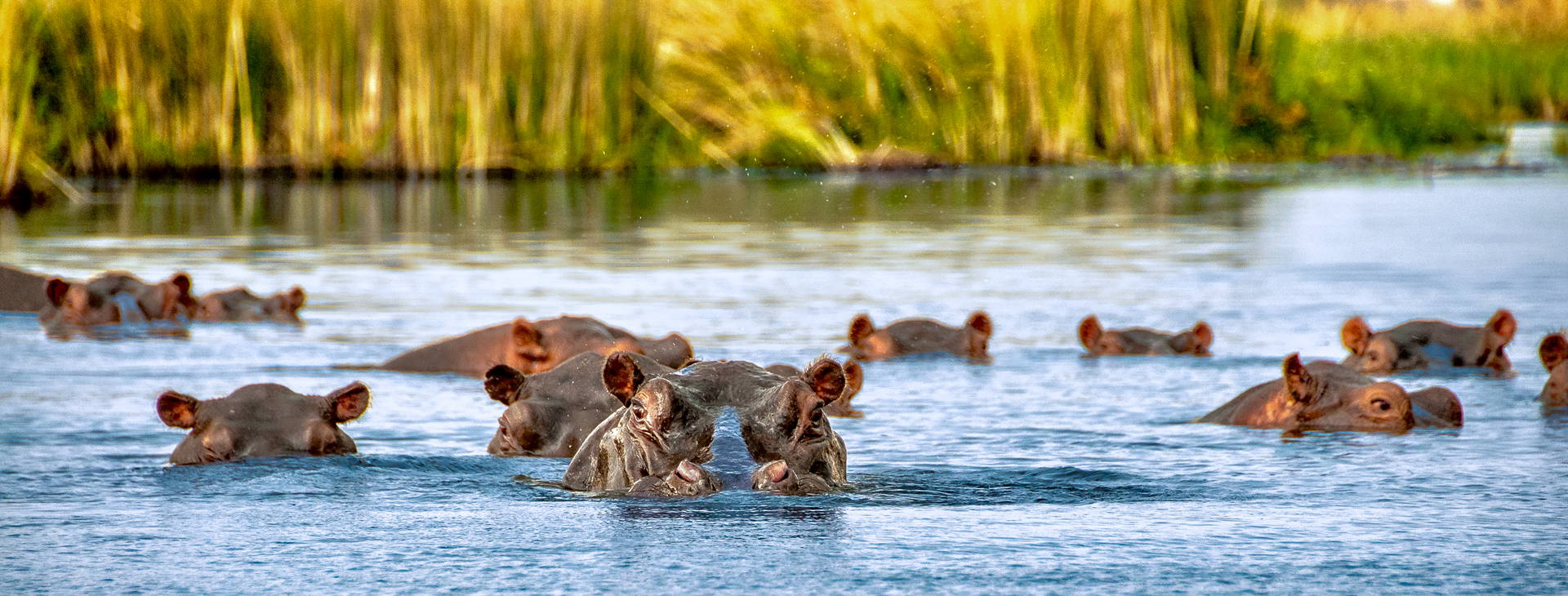 Hotel Reef (3 noci + poznávací část 4 noci) Obrázek10