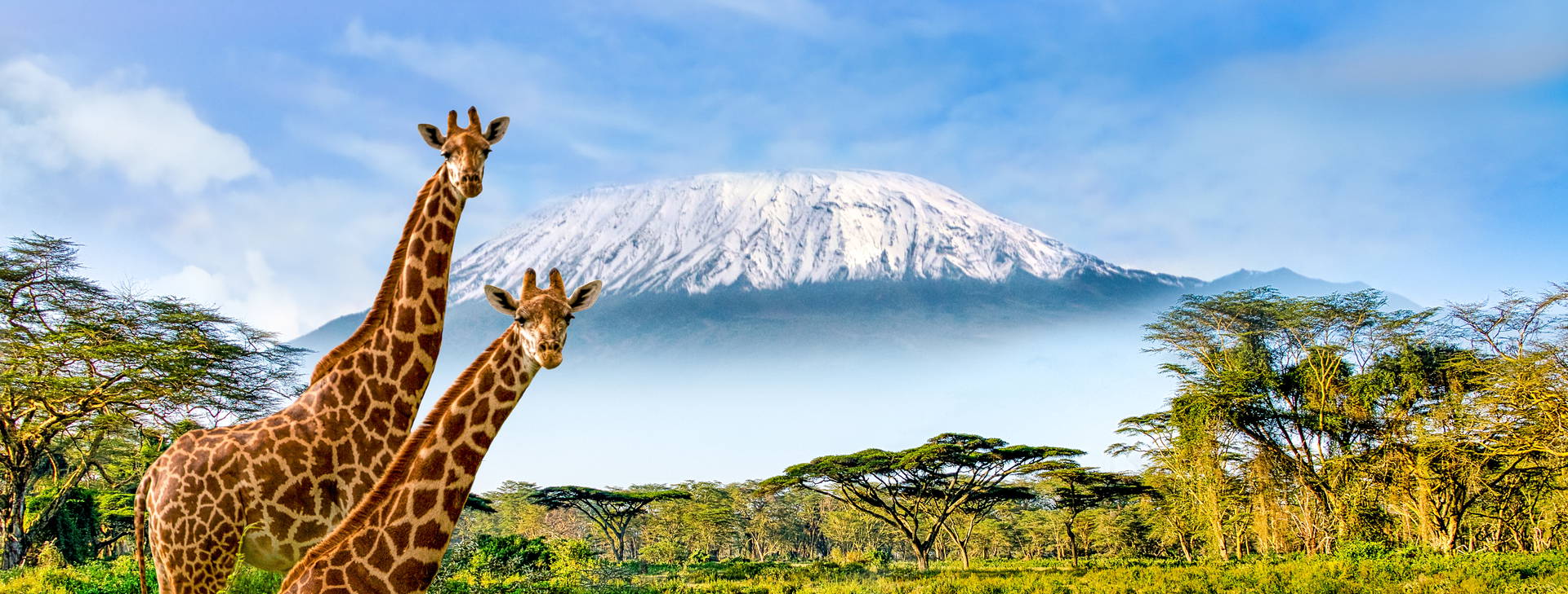 Hotel Reef (3 noci + poznávací část 4 noci) Obrázek1