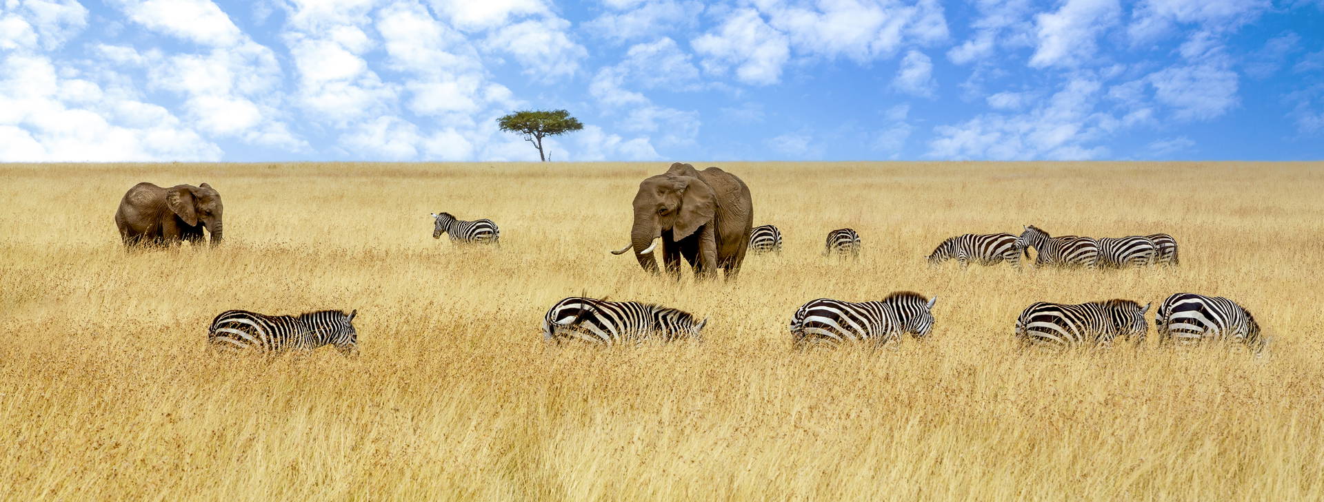 Neptune Paradise Beach Resort & SPA (4 noci + poznávací část 3 noci) Obrázek4