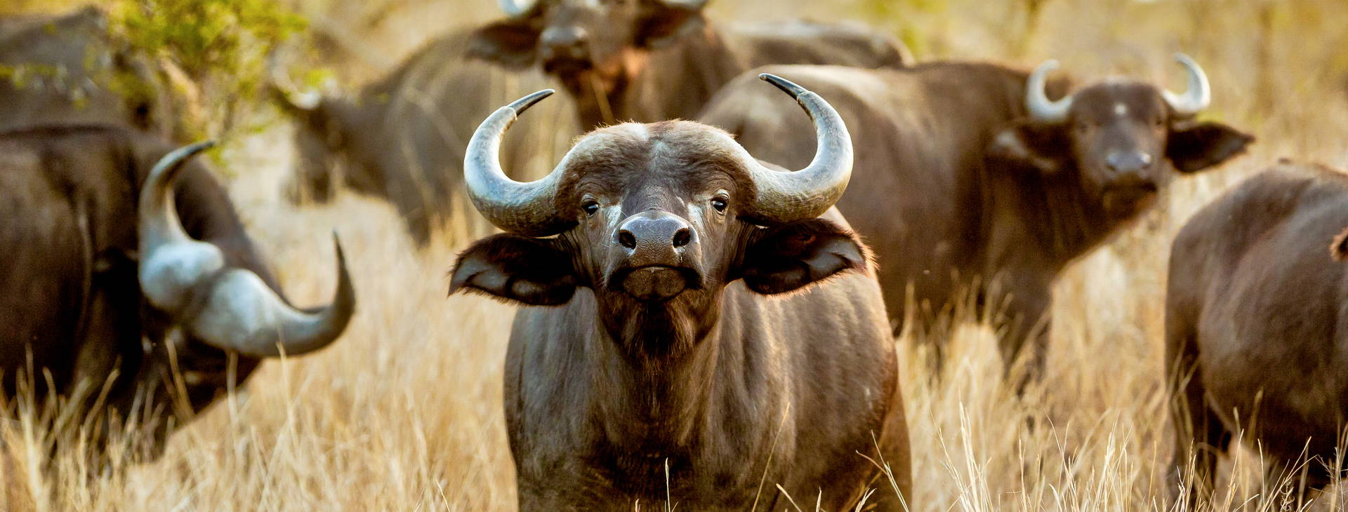 Neptune Paradise Beach Resort & SPA (4 noci + poznávací část 3 noci) Obrázek10