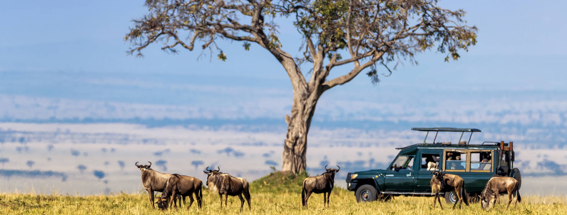 Neptune Paradise Beach Resort & SPA (4 noci + poznávací část 3 noci) Obrázek8