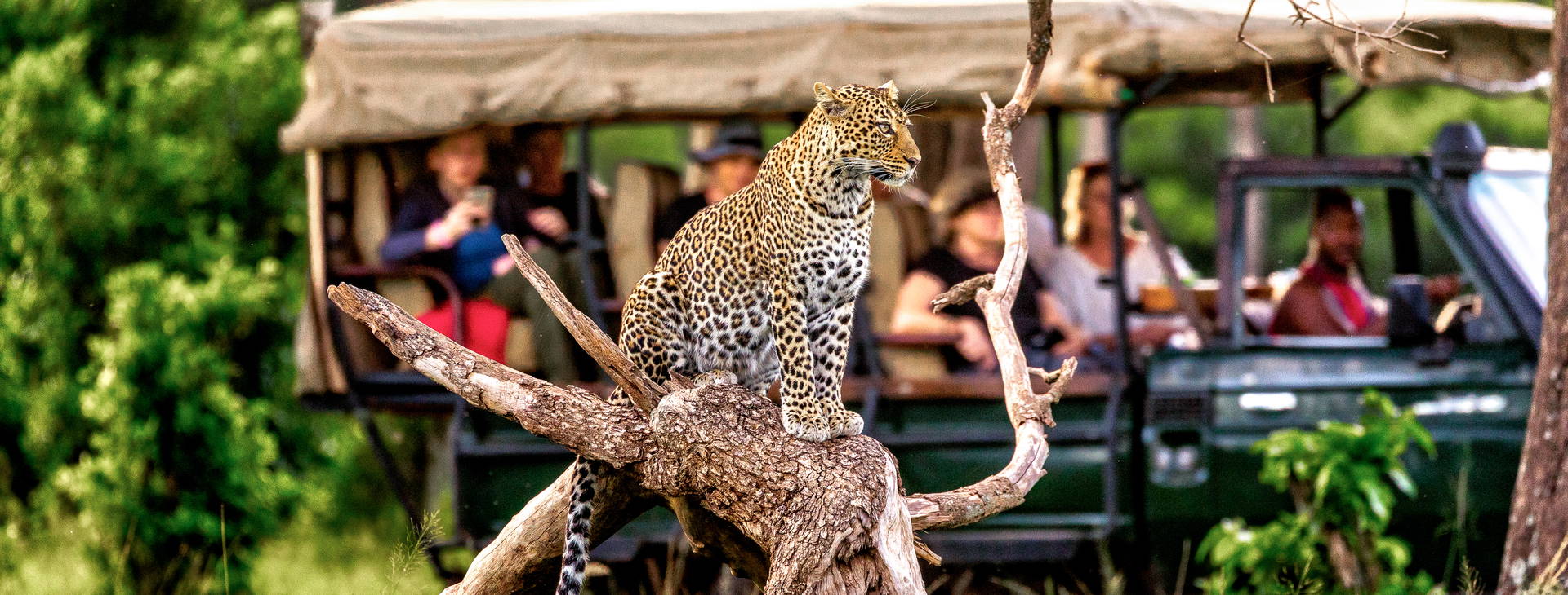 Neptune Paradise Beach Resort & SPA (4 noci + poznávací část 3 noci) Obrázek11