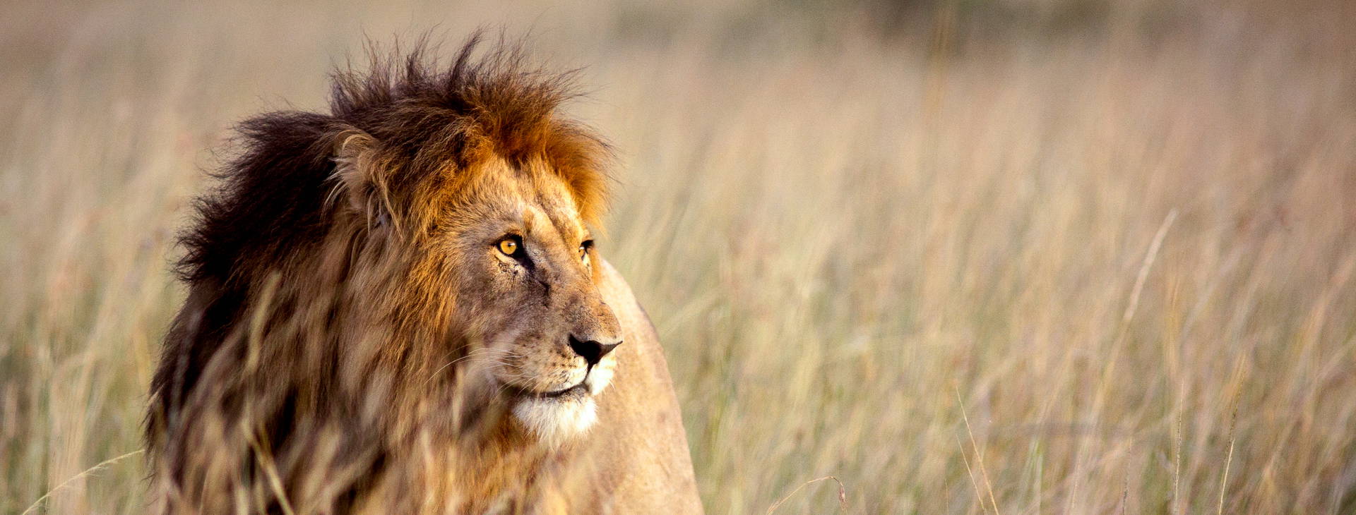 Neptune Paradise Beach Resort & SPA (4 noci + poznávací část 3 noci) Obrázek16