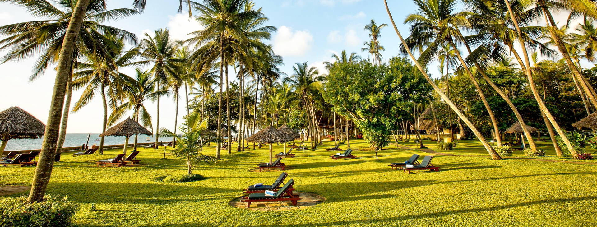 Neptune Paradise Beach Resort & SPA (3 noci + poznávací část 4 noci) Obrázek24