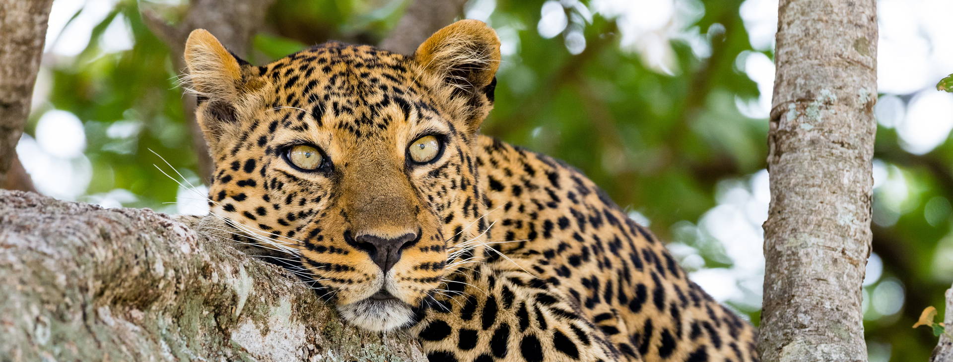 Neptune Paradise Beach Resort & SPA (3 noci + poznávací část 4 noci) Obrázek4