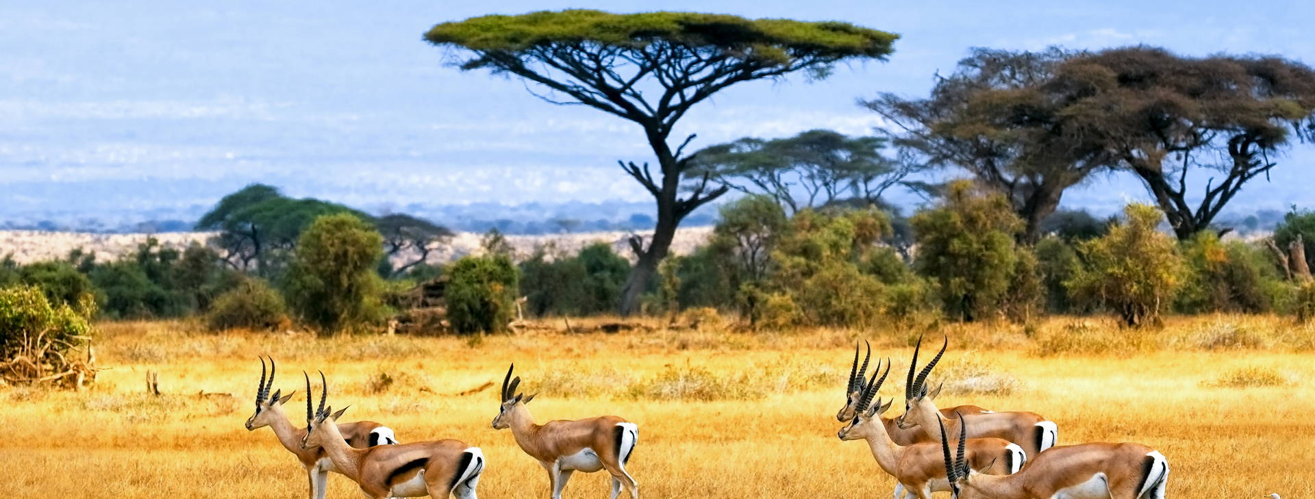 Neptune Paradise Beach Resort & SPA (3 noci + poznávací část 4 noci) Obrázek8