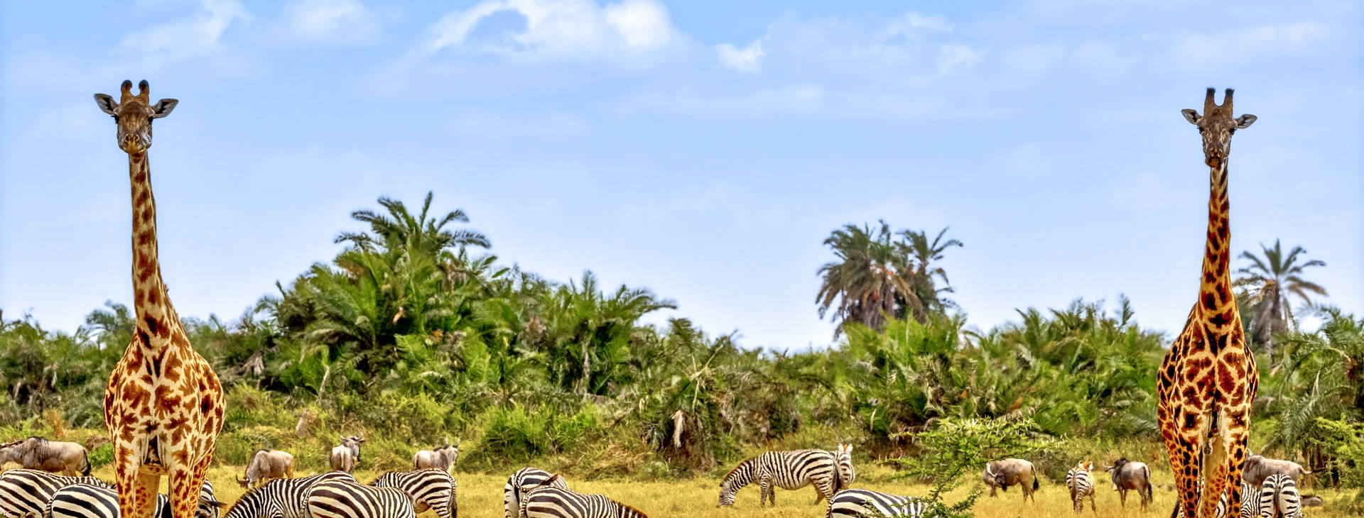 Neptune Paradise Beach Resort & SPA (3 noci + poznávací část 4 noci) Obrázek11