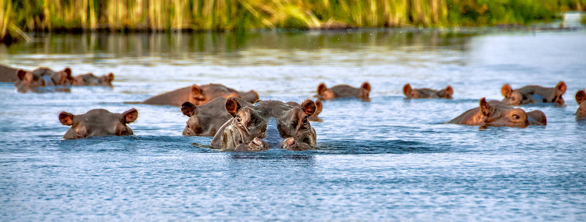 Neptune Paradise Beach Resort & SPA (3 noci + poznávací část 4 noci) Obrázek12