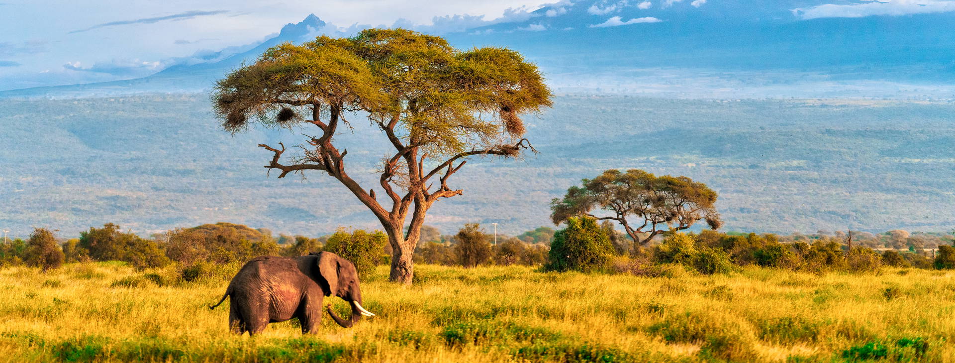 Neptune Paradise Beach Resort & SPA (3 noci + poznávací část 4 noci) Obrázek1