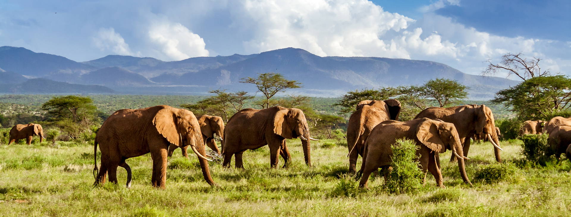 Neptune Paradise Beach Resort & SPA (3 noci + poznávací část 4 noci) Obrázek14