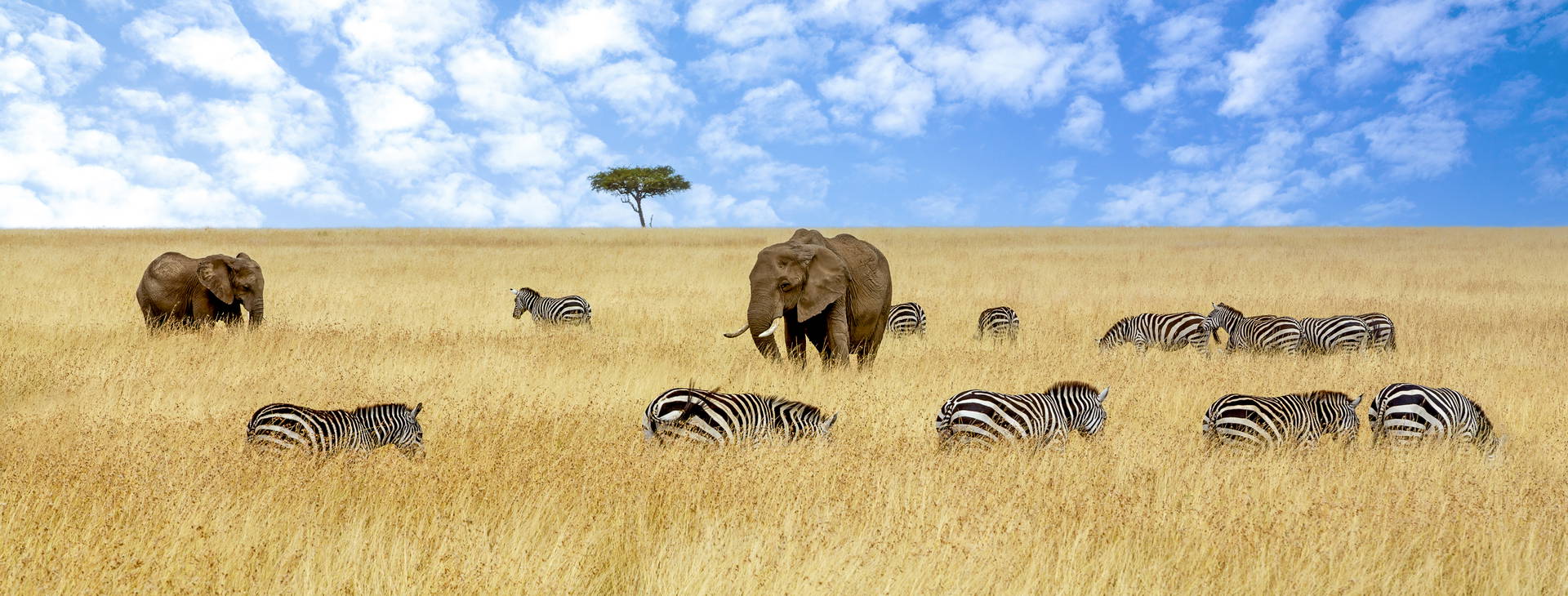 Baobab Beach Resort and Spa KSS Obrázek14