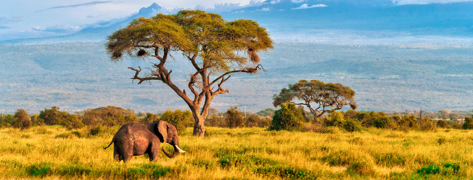 Baobab Beach Resort and Spa KSS Obrázek16