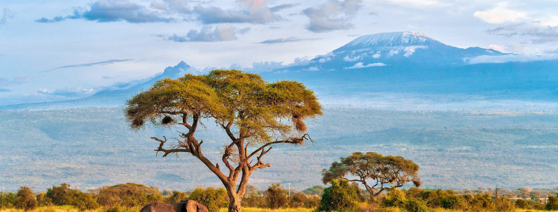 Leopard Beach Resort & SPA KST Obrázek7