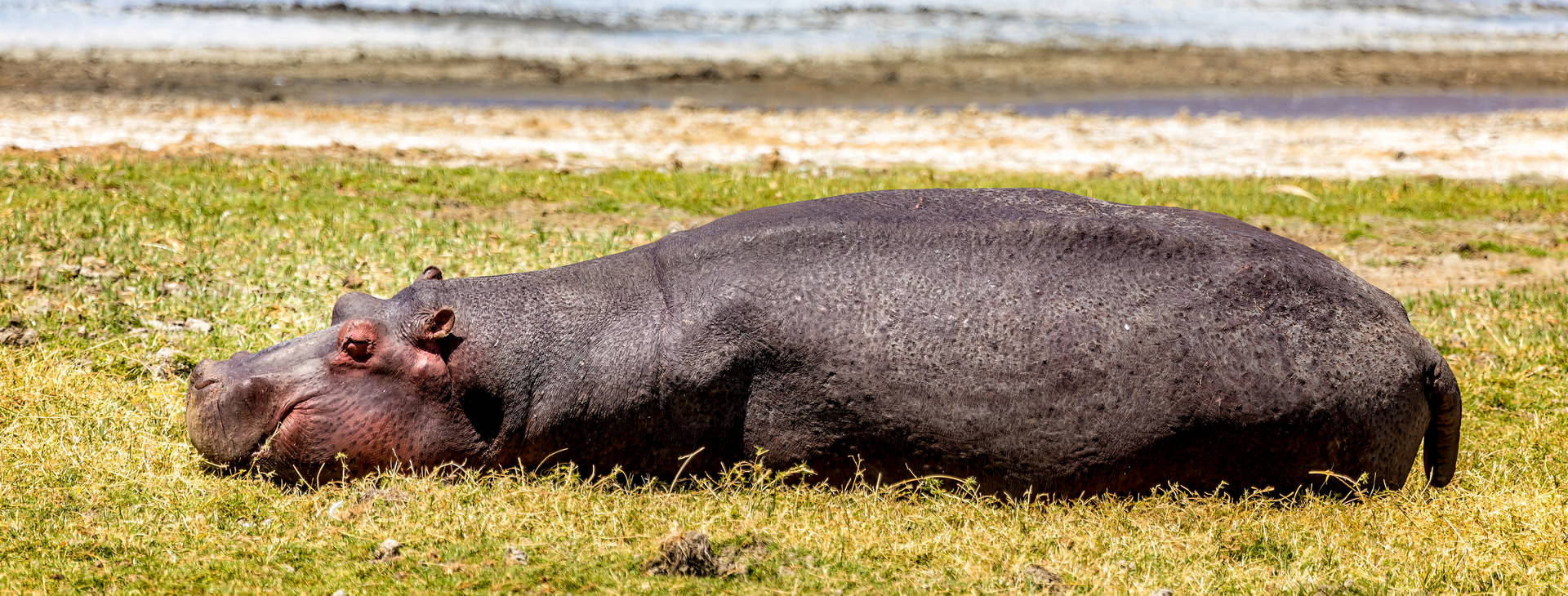 Leopard Beach Resort & SPA KST Obrázek16