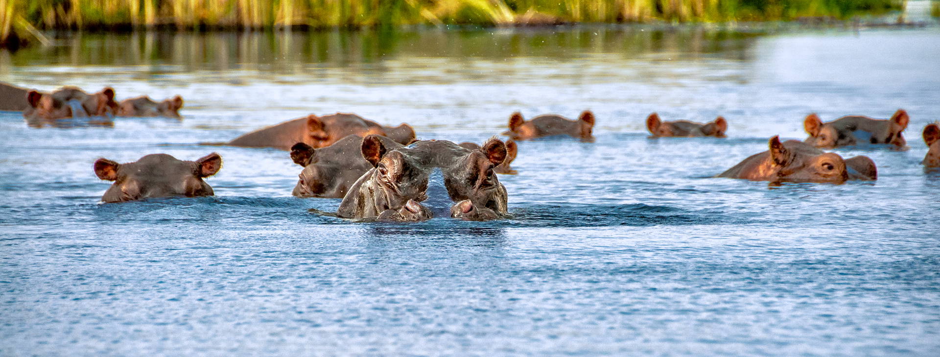 Leopard Beach Resort & SPA KST Obrázek10
