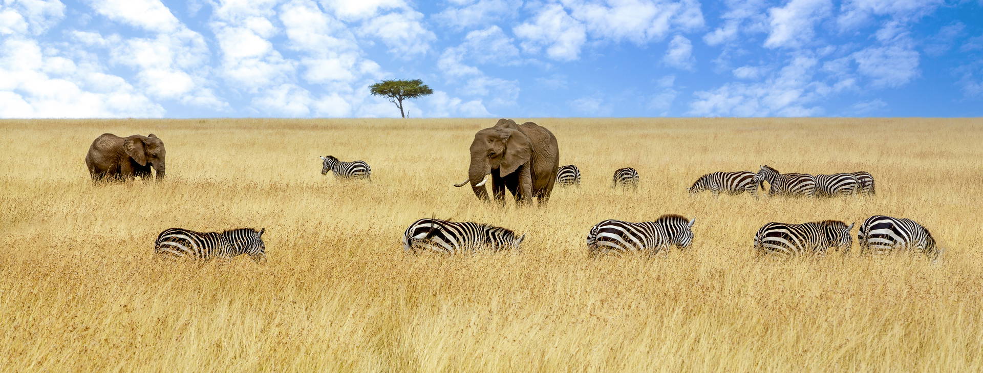 Jacaranda Indian Ocean Beach Resort (4 noci + poznávací část 3 noci) Obrázek5