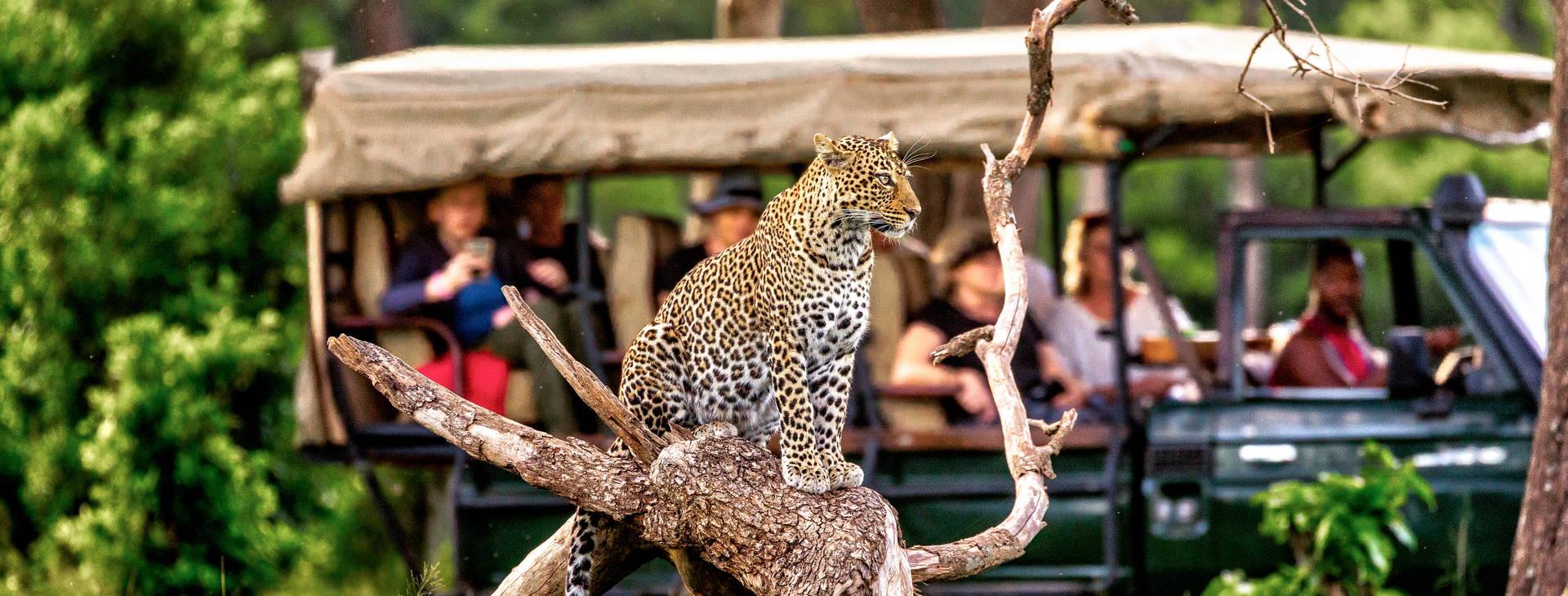 Jacaranda Indian Ocean Beach Resort (4 noci + poznávací část 3 noci) Obrázek11