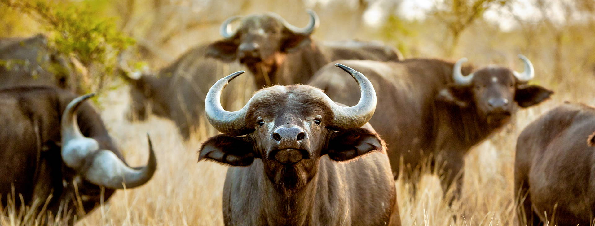 Jacaranda Indian Ocean Beach Resort (4 noci + poznávací část 3 noci) Obrázek9