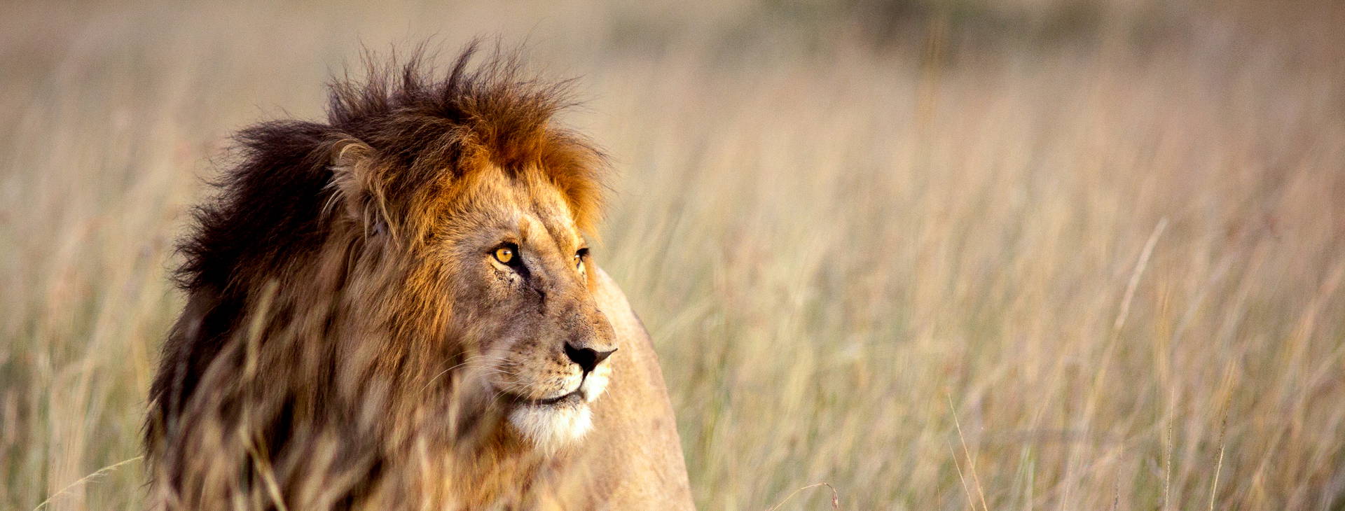 Jacaranda Indian Ocean Beach Resort (4 noci + poznávací část 3 noci) Obrázek13