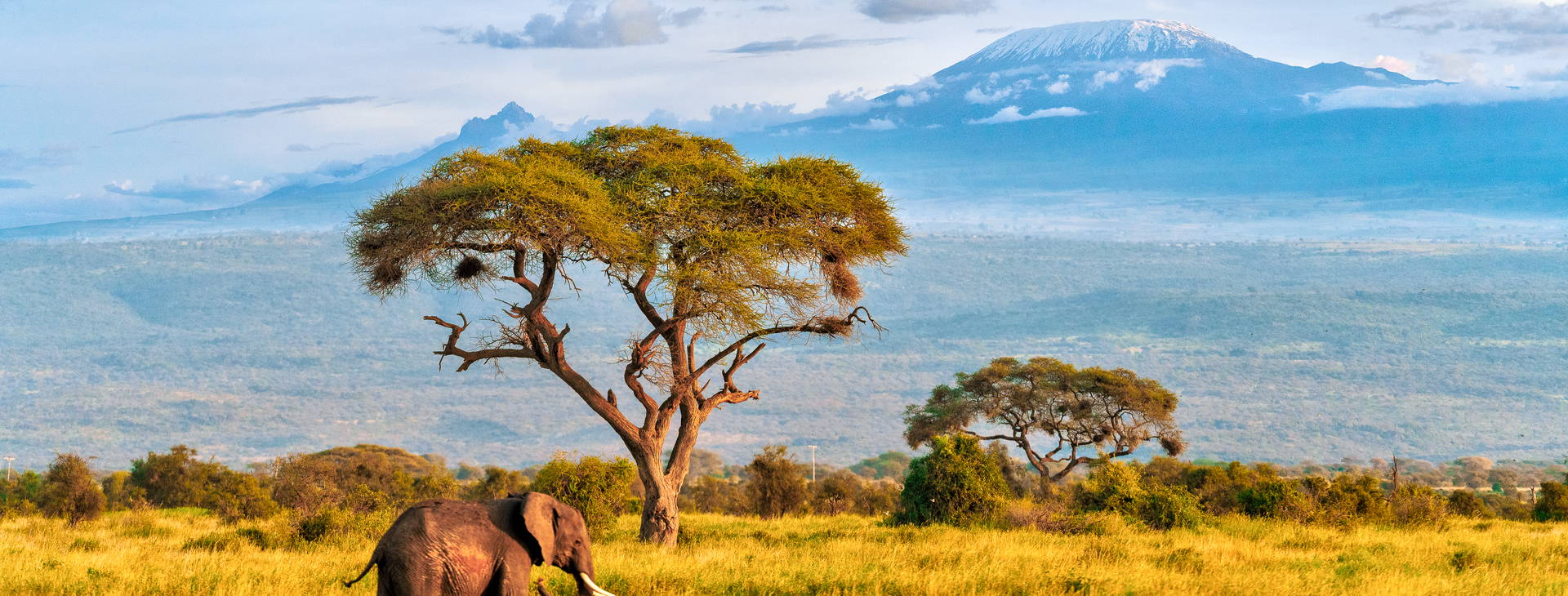 Jacaranda Indian Ocean Beach Resort (3 noci + poznávací část 4 noci) Obrázek7
