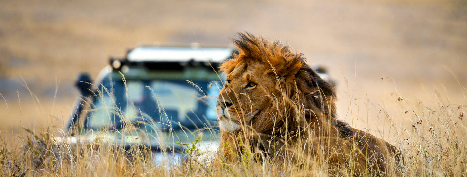 Jacaranda Indian Ocean Beach Resort (3 noci + poznávací část 4 noci) Obrázek6
