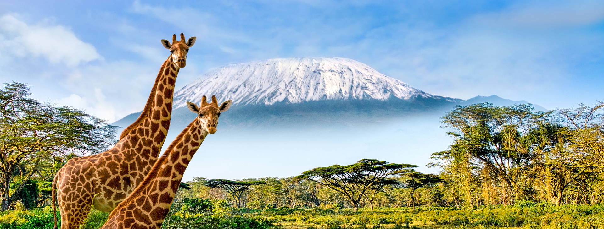 Jacaranda Indian Ocean Beach Resort (3 noci + poznávací část 4 noci) Obrázek11