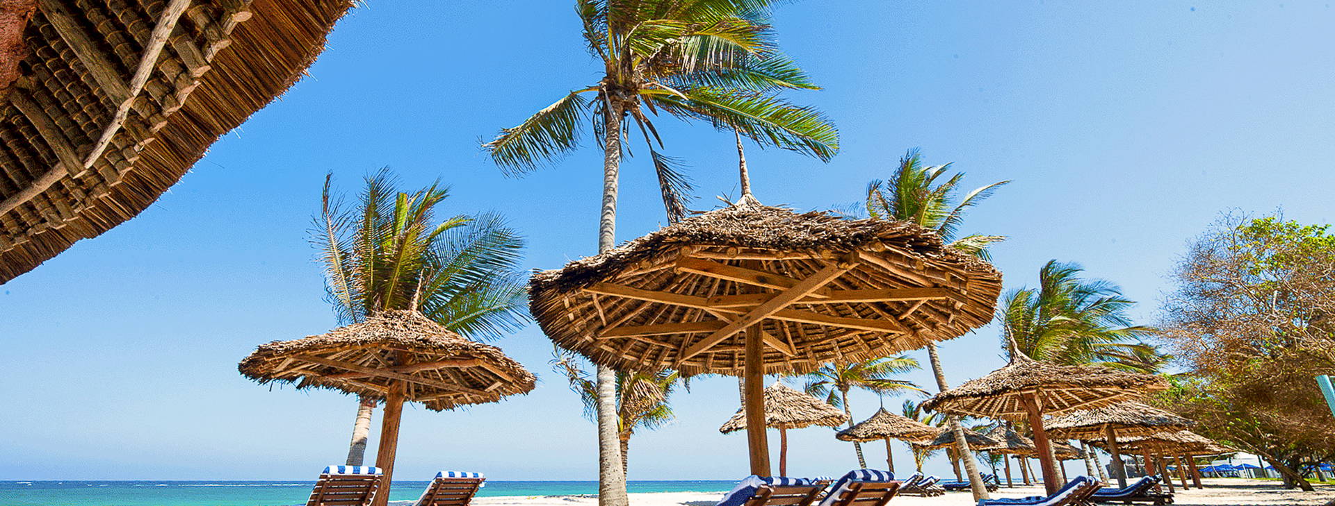 Jacaranda Indian Ocean Beach Resort (3 noci + poznávací část 4 noci) Obrázek28