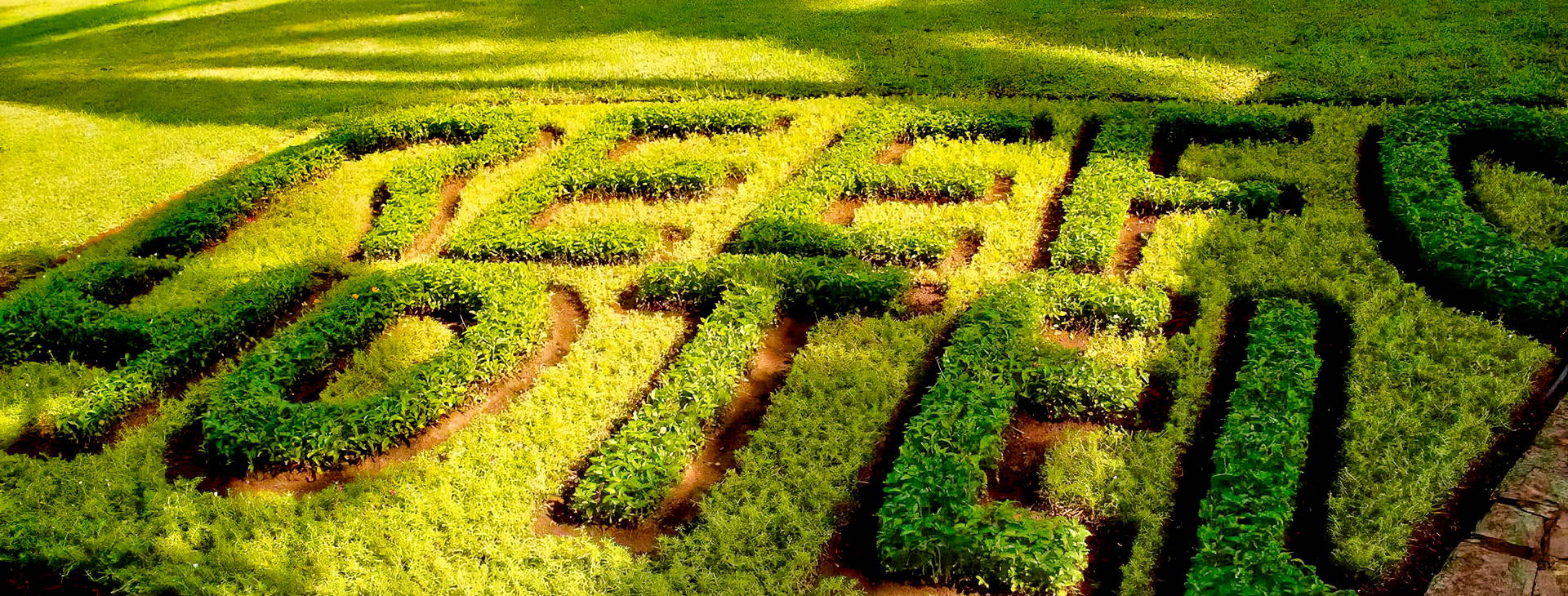 Hotel Reef Obrázek13