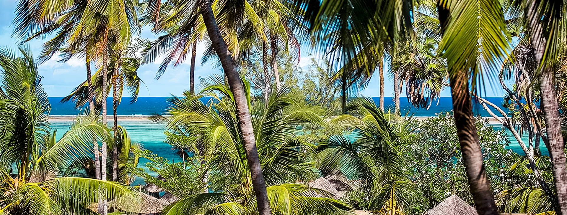 Hotel Reef (4 noci + poznávací část 3 noci) Obrázek16