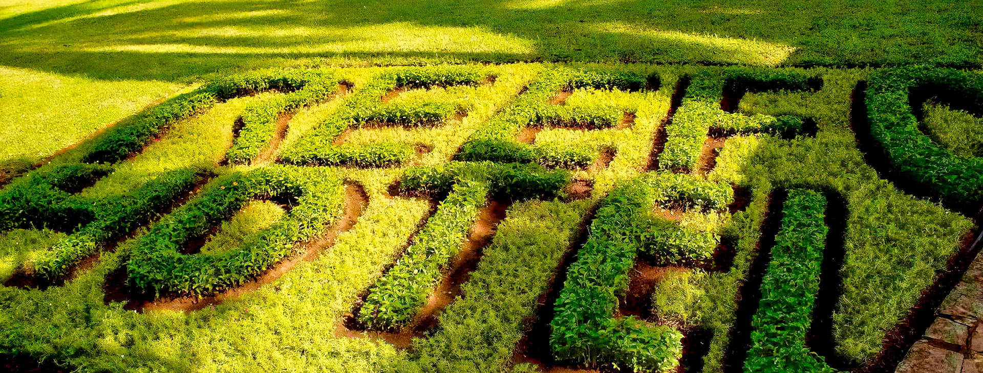 Hotel Reef (4 noci + poznávací část 3 noci) Obrázek17