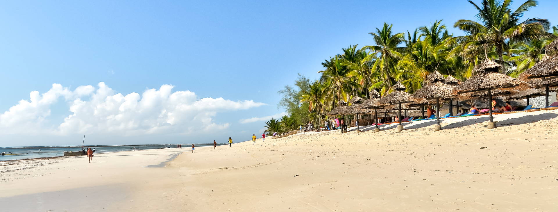 Southern Palms Obrázek12