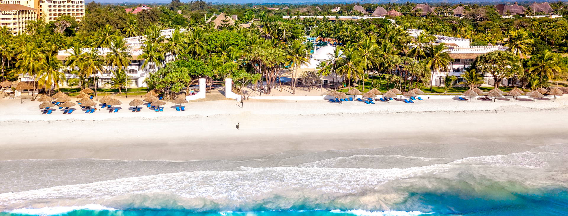 Southern Palms Obrázek8