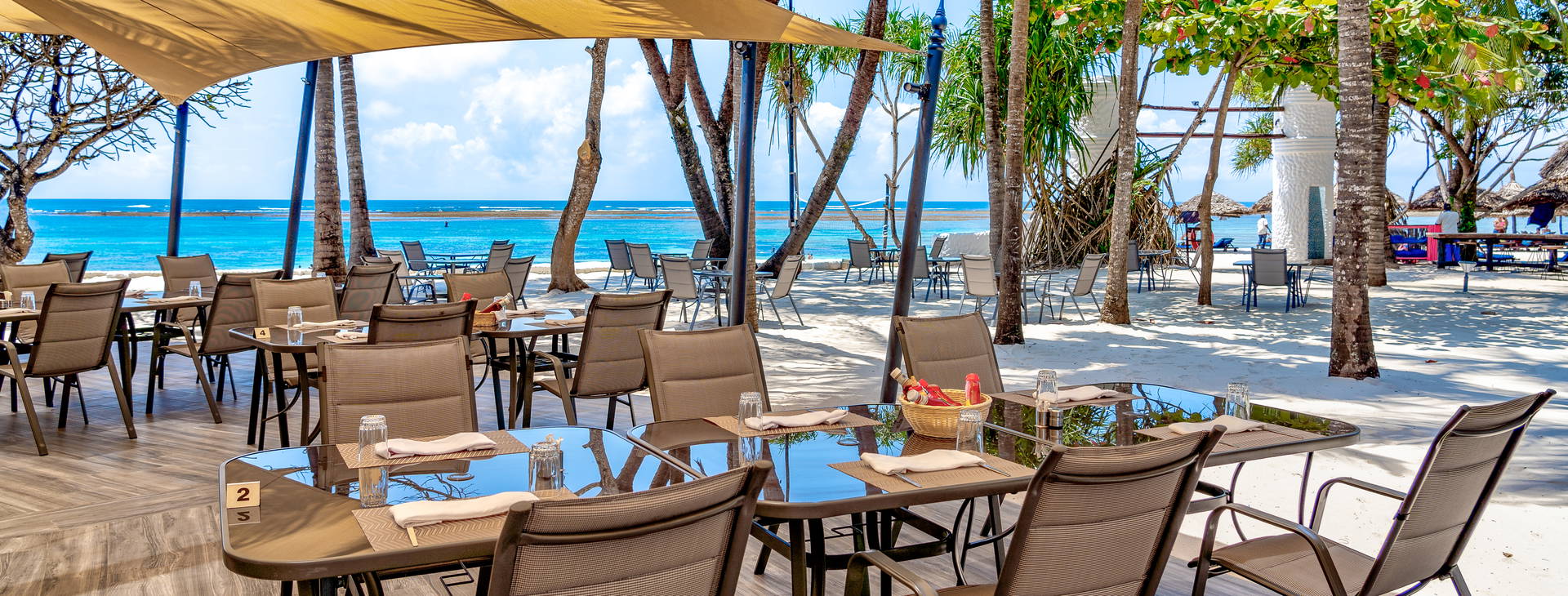 Southern Palms Obrázek20