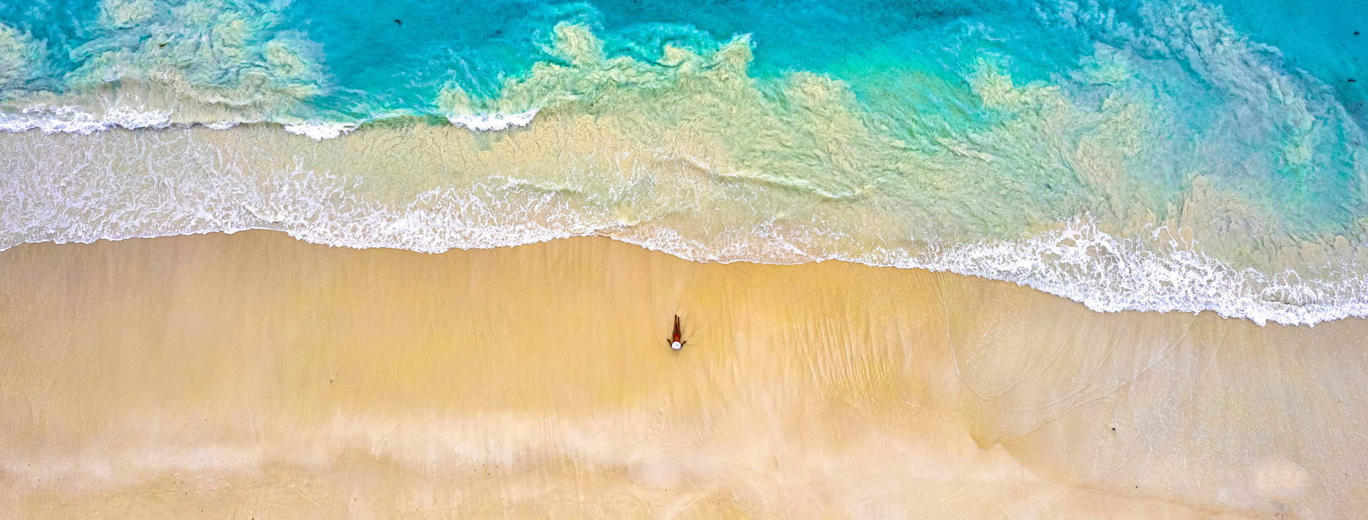 Southern Palms Obrázek11