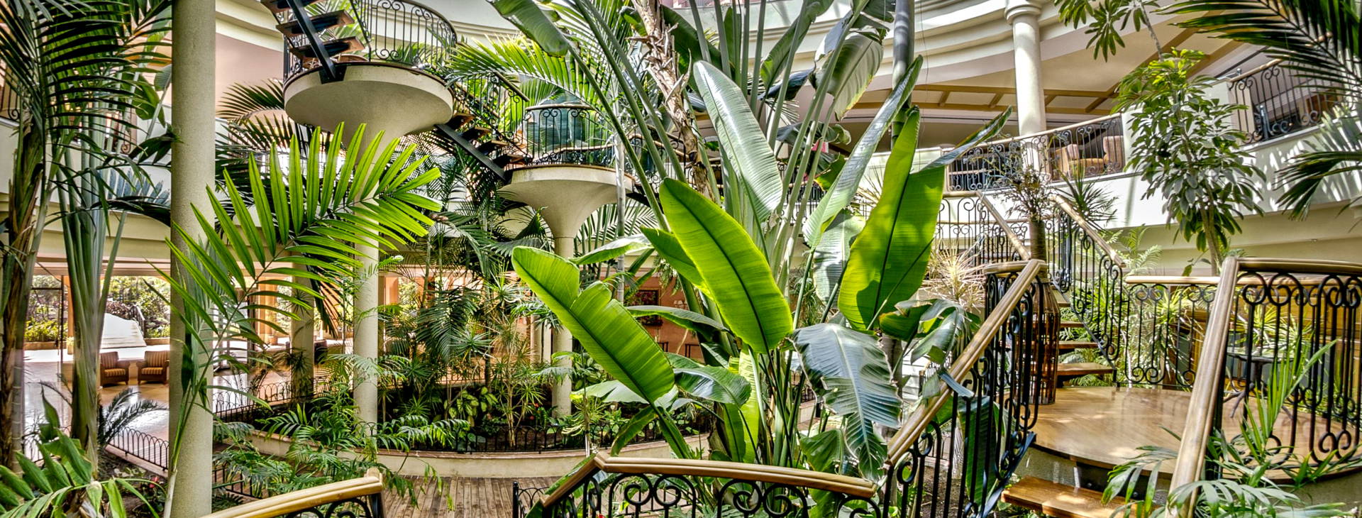 Sheraton Fuerteventura Beach, Golf & Spa Resort Obrázek13